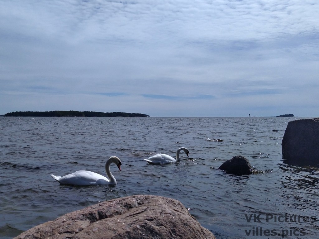 The Coast of&nbsp;Santalahti