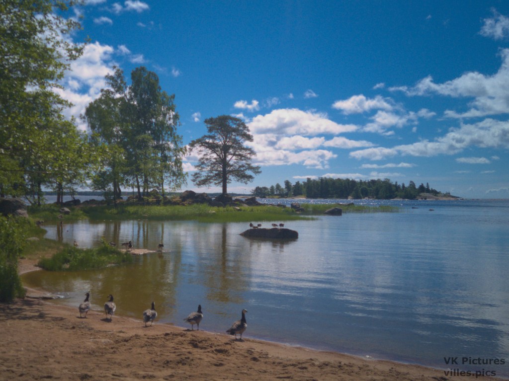 Birds at the bay of&nbsp;Mansikkalahti