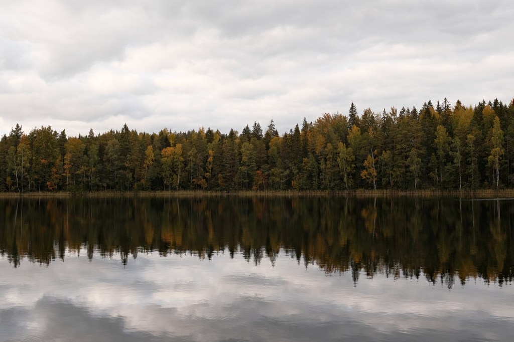 Forest, Hill, and&nbsp;Lake