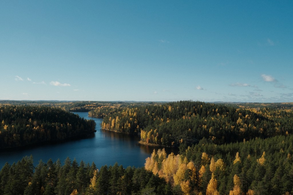 The Mountain, Repovesi Part&nbsp;III