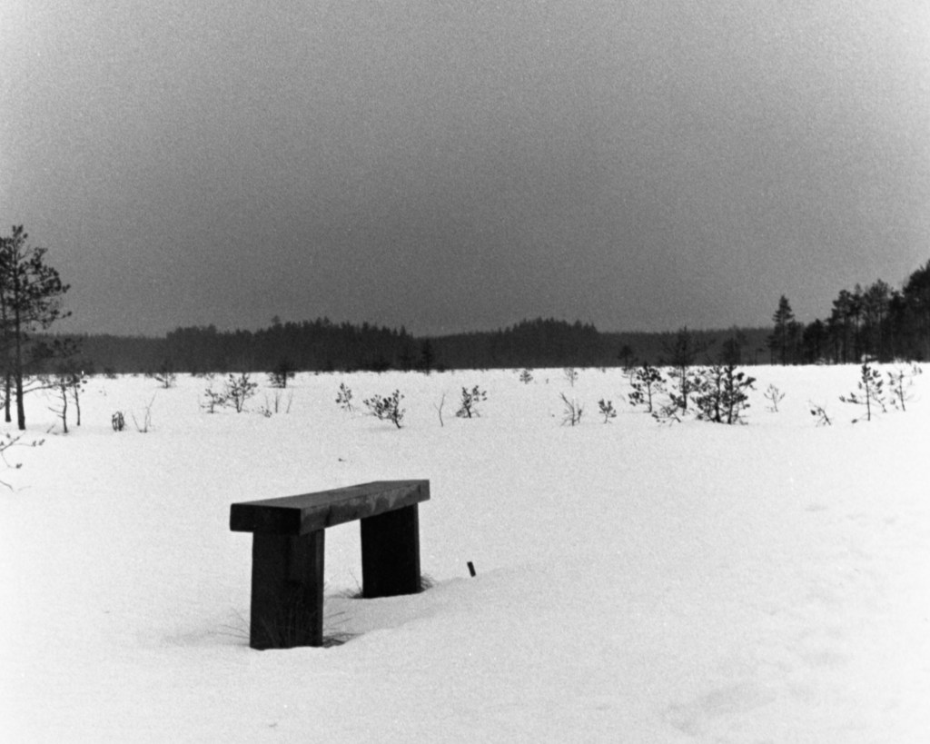 Another Winter Swamp,&nbsp;Valkmusa