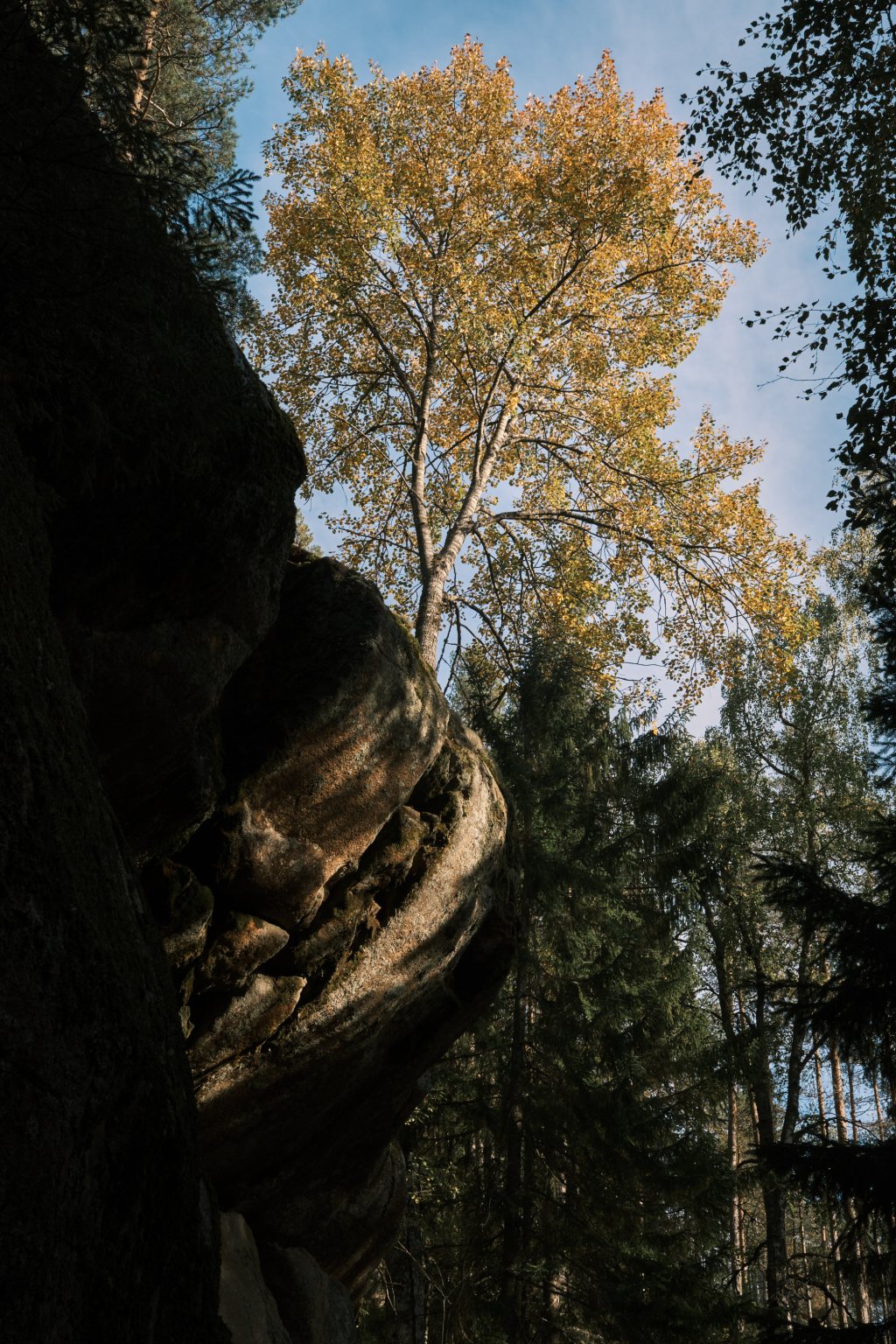 Short Trip to Repovesi National Park in&nbsp;Autumn.