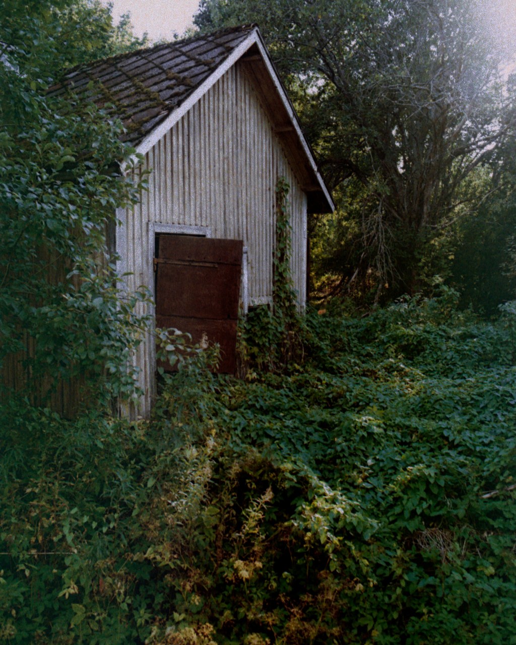 Summer Ride and Color&nbsp;Casts