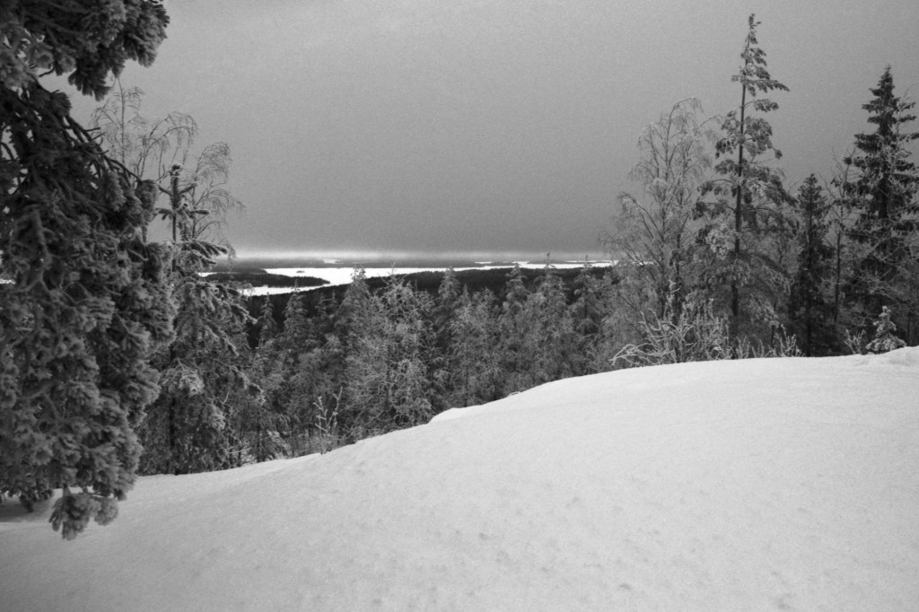 Cloudy Winter in the Hills of Etelä-Konnevesi National&nbsp;Park
