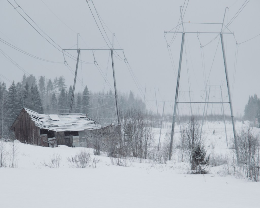 A Morning Winter&nbsp;Walk