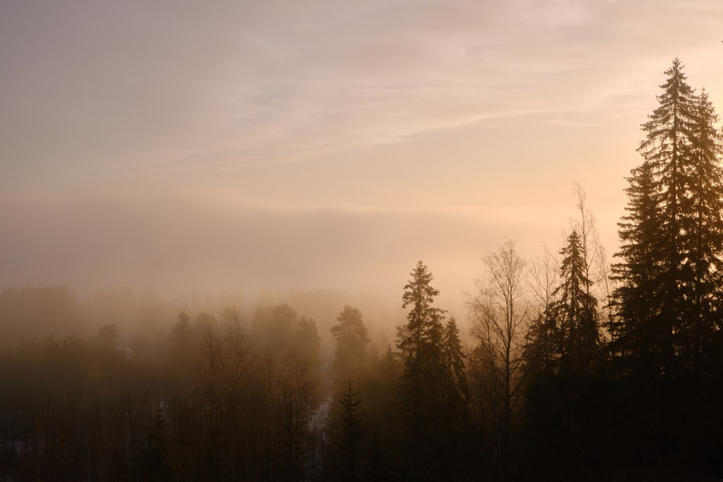Fog on a Hill,&nbsp;Aurinkovuori