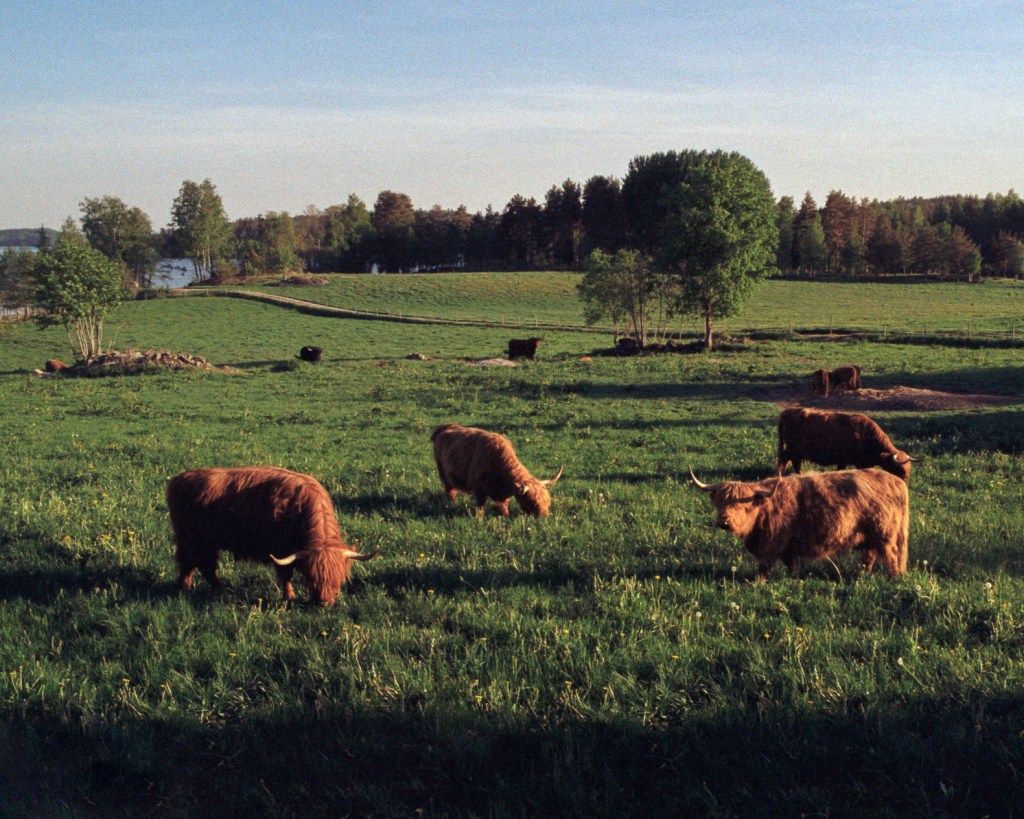 A Walk Through the Countryside, Pictures from Haikkaanlahti&nbsp;Trail