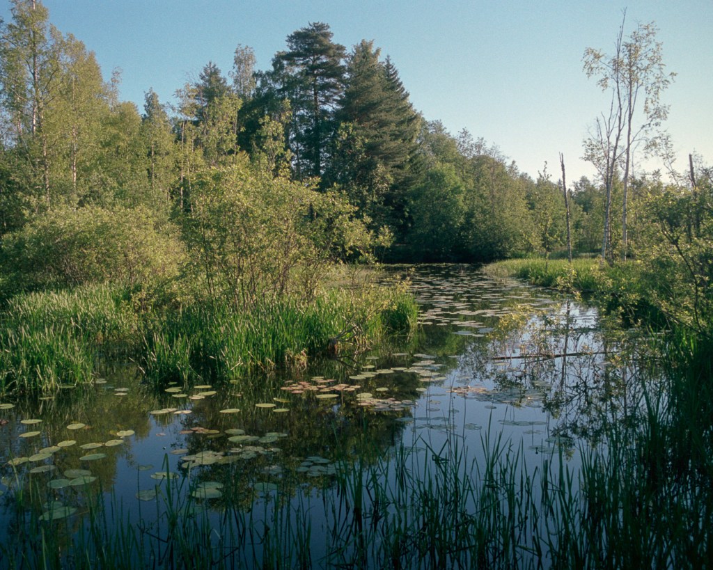 River at the Center of a Town, Pictures from&nbsp;Muurame