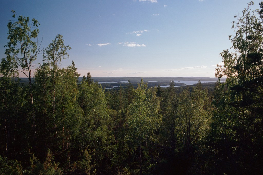 Short Trail and Views from a Hill, Pictures from South-Konnevesi National Park