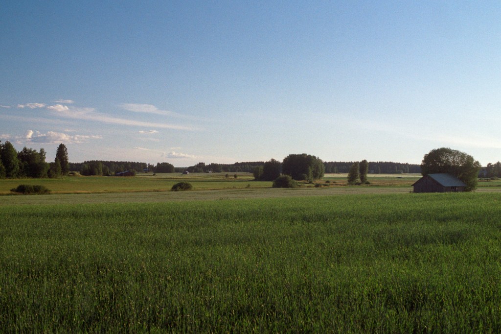 Fields of Viinijärvi