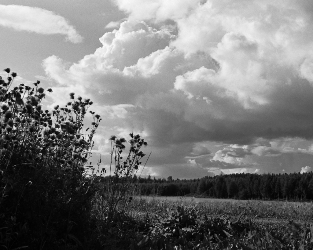 Clouds over the Countryside, Lapinjärvi