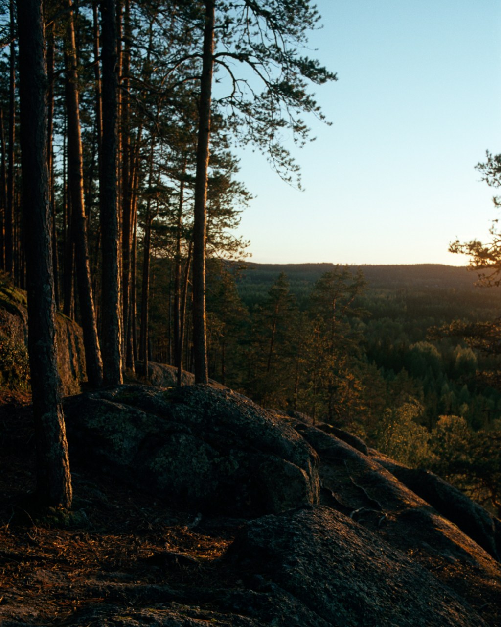 Autumn Evening and Sunset at the Hyyppänvuori Hill