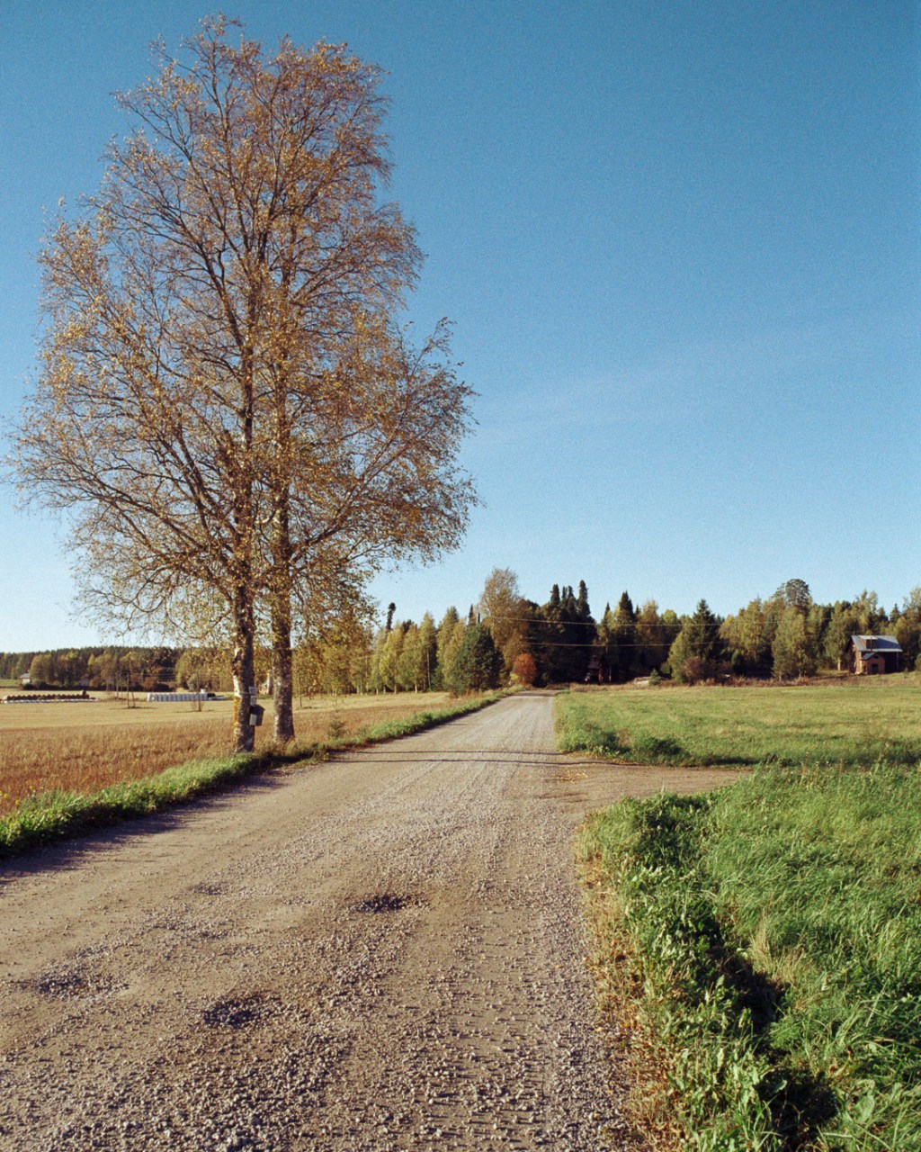 Countryside Roads of Joroinen in&nbsp;Autumn