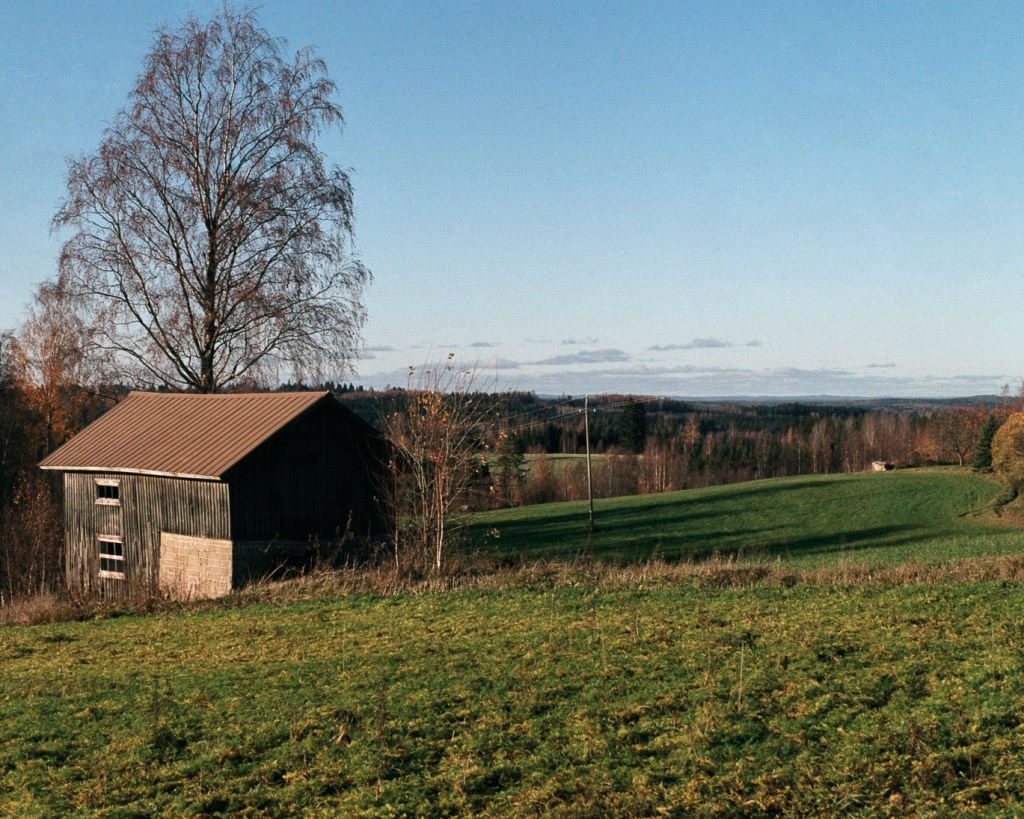 Village on the Mustinmäki Hill