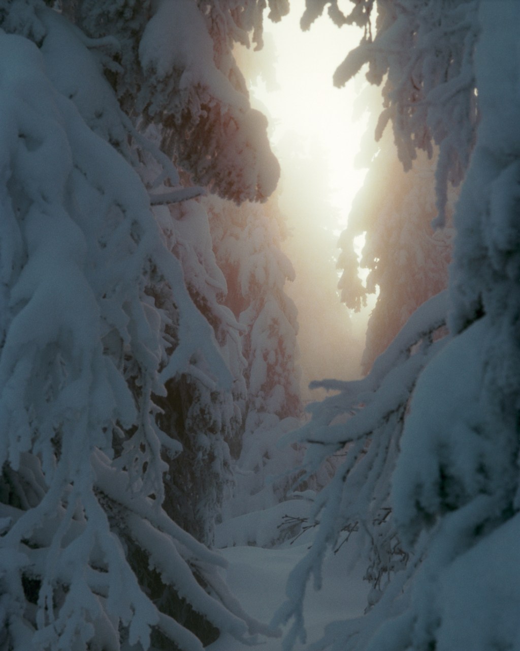Winter Evening at Koli&nbsp;Hill