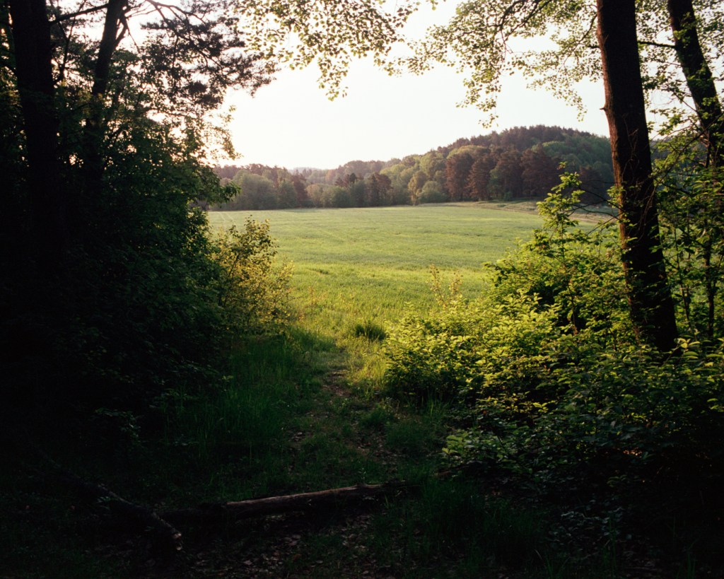 Natura Along a Trail at Aurajoki&nbsp;River