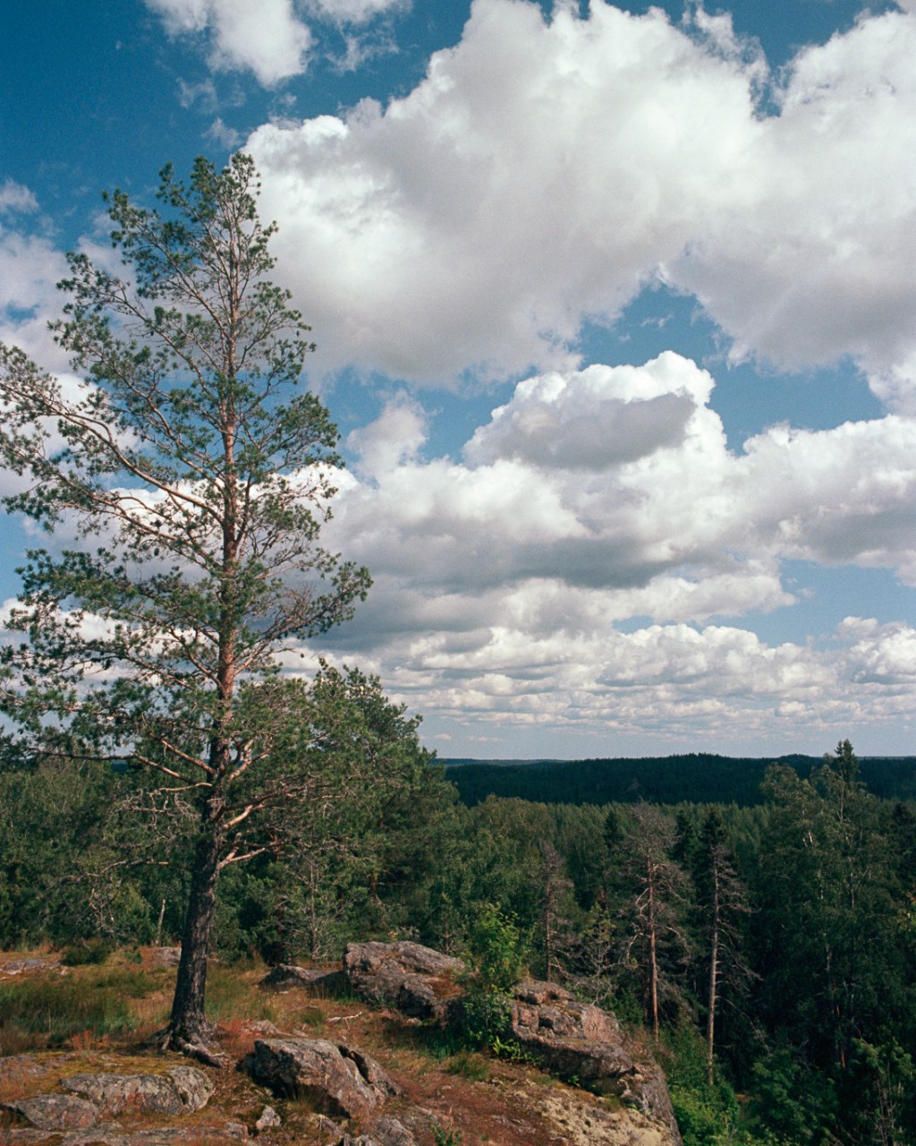 Views from Huttala&nbsp;Hill