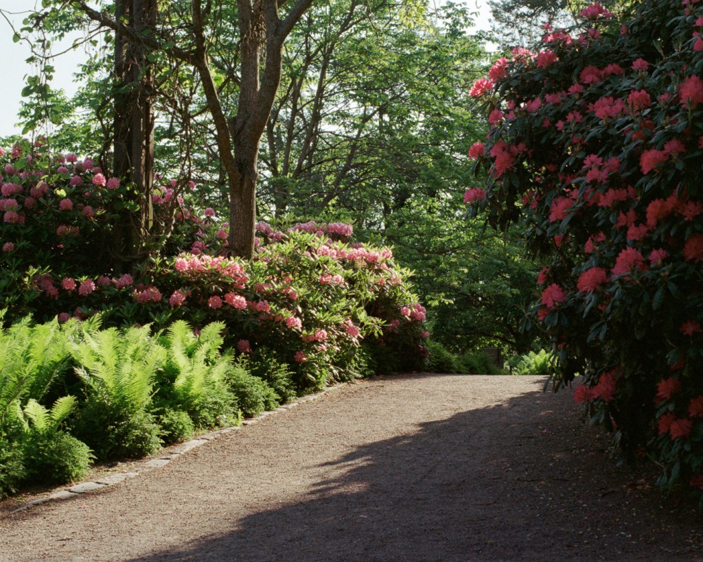 Walking Through the Coastal Parks of Kotka