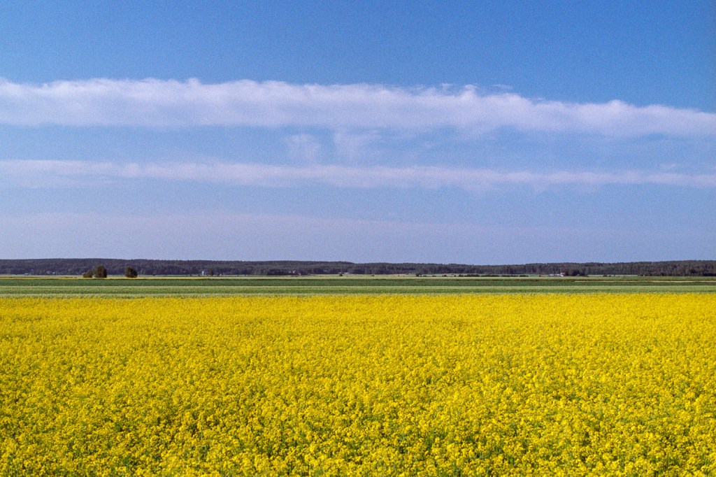 Riding Through the Söderfjärden&nbsp;Crater