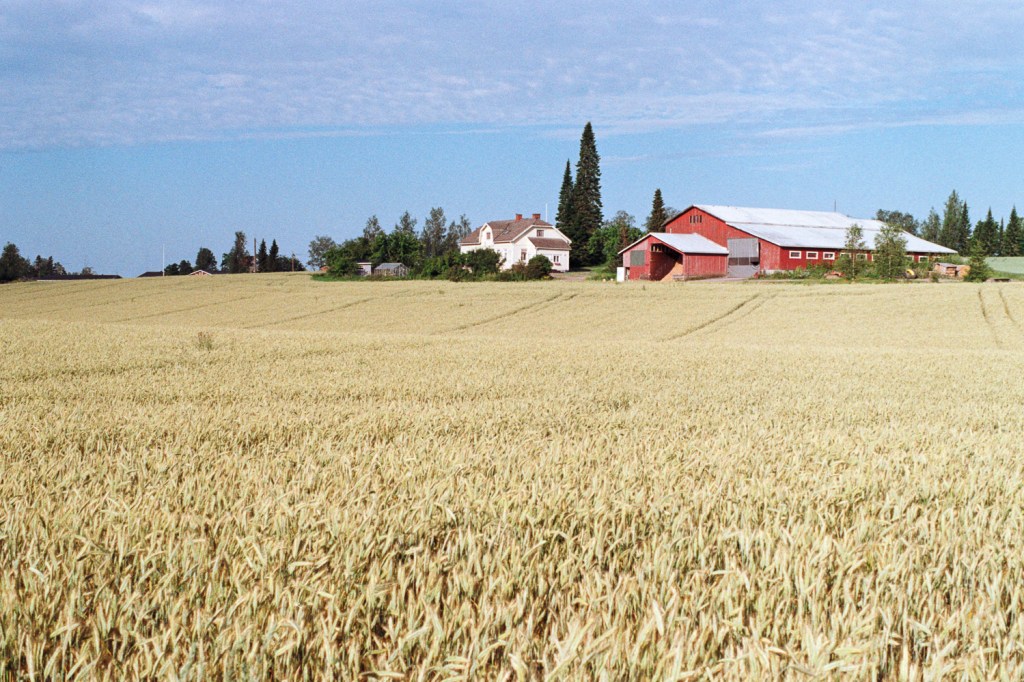 Riding Through the Fields in the Countryside of&nbsp;Asikkala