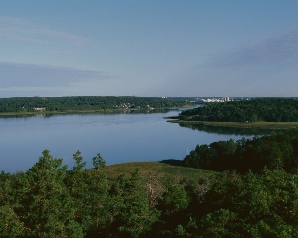 The Forest on the Hill at Vaarniemi Nature&nbsp;Reserve