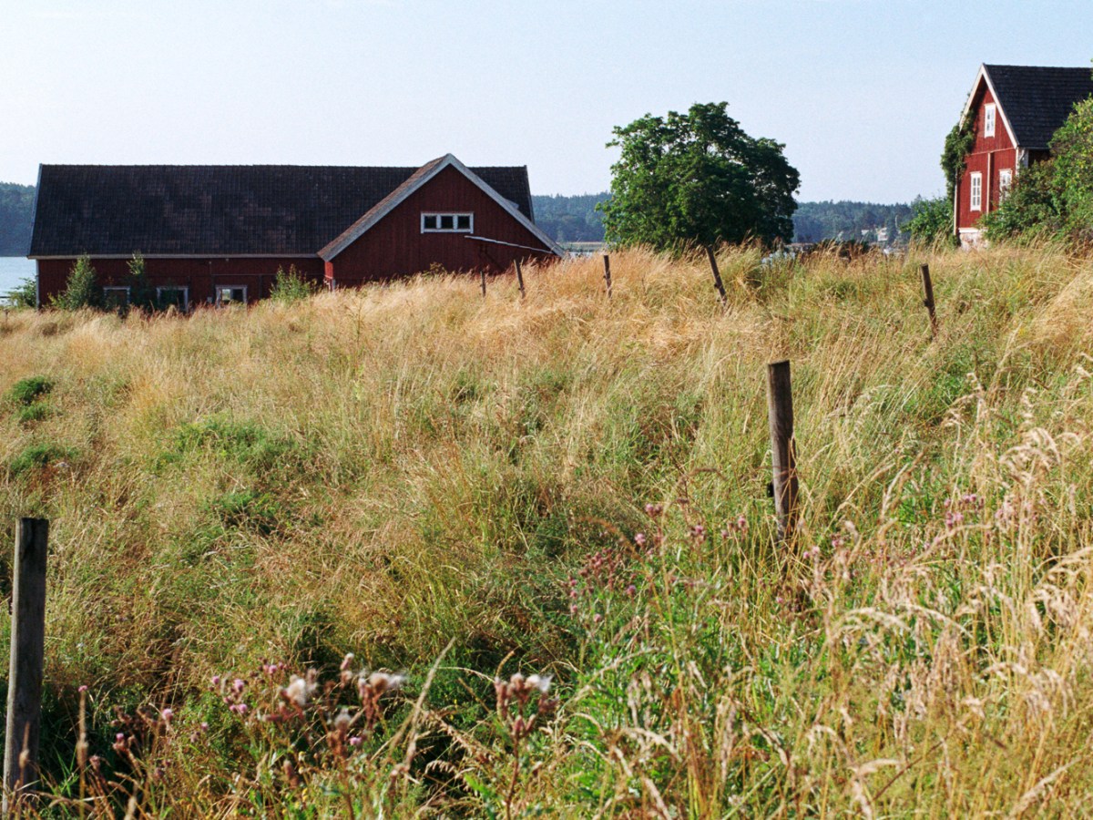 Some Pictures from the Island of&nbsp;Ruissalo