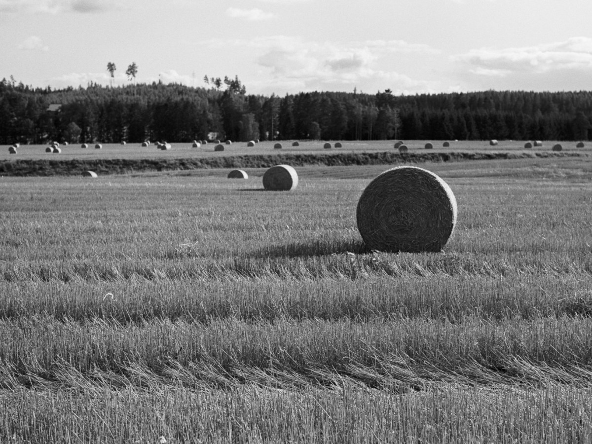 Forest and Farms of Liesjärvi and&nbsp;Jokioinen