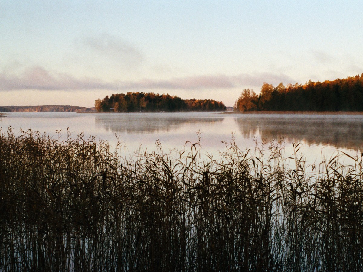 Cold Morning on the Coast of Lohjanjärvi&nbsp;Lake