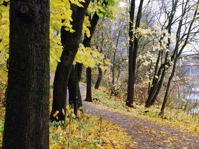 Grey and Colorful Autumn Morning at Aurajoki&nbsp;River