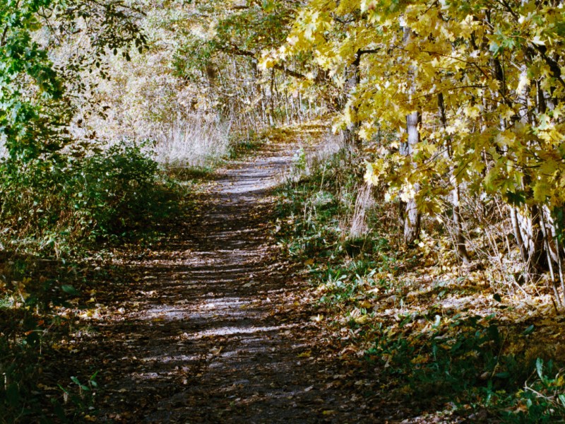 Autumn Path Along Raisionjoki&nbsp;River