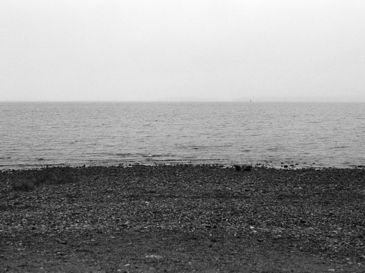 Fog on a Coastal Trail at the Island of&nbsp;Ruissalo