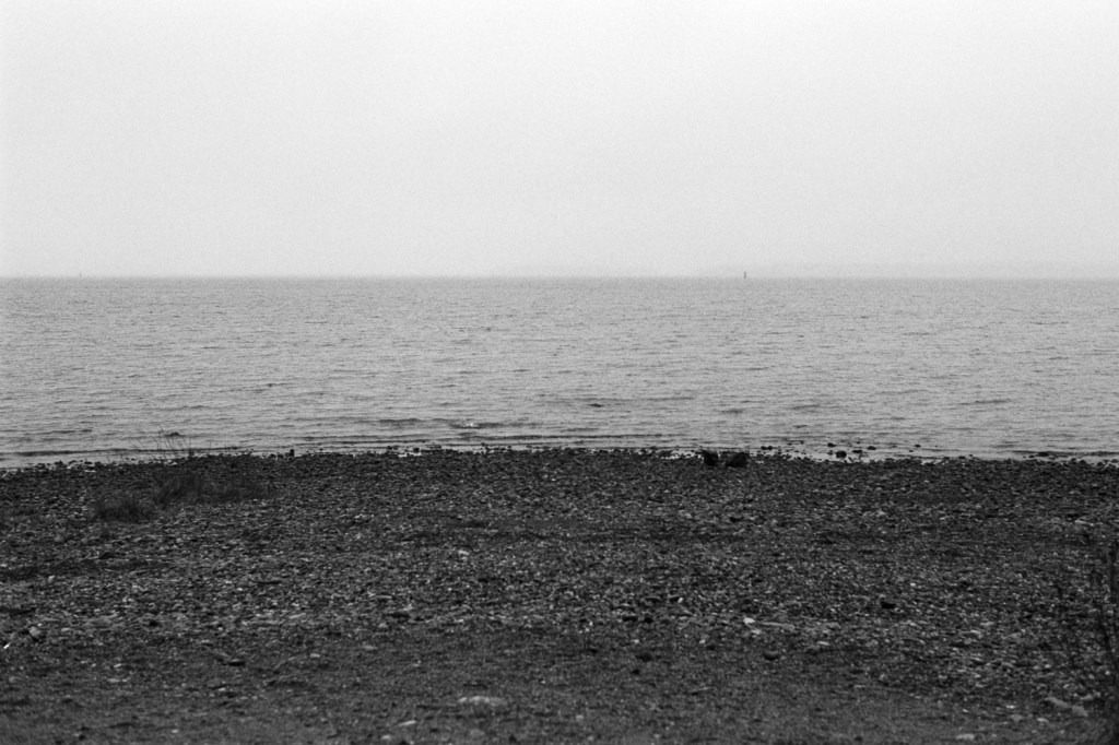 Fog on a Coastal Trail at the Island of Ruissalo