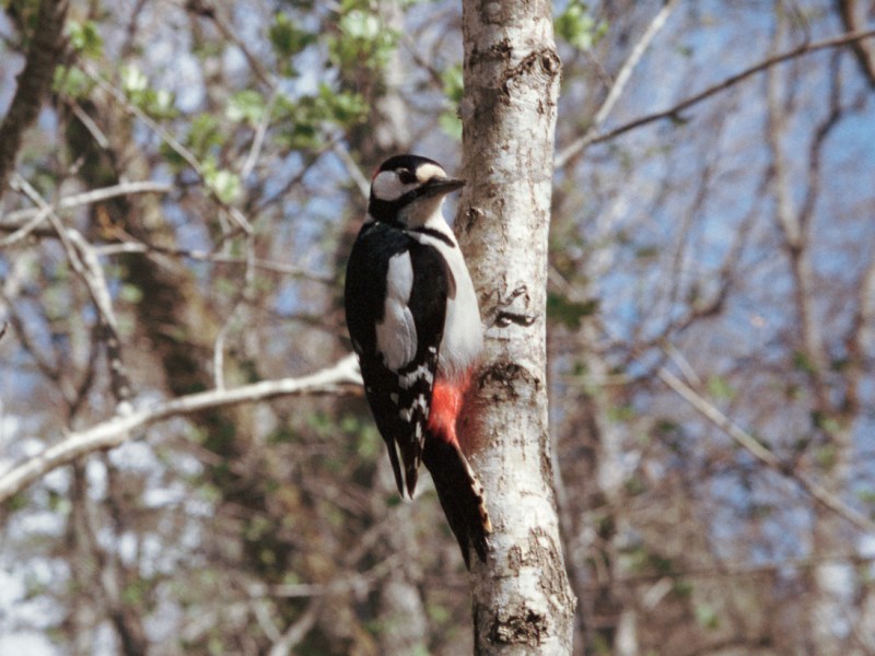 A Walk Through the Forest of Katariina Nature&nbsp;Reserve