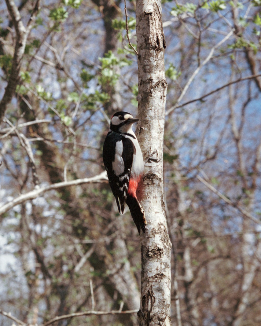 A Walk Through the Forest of Katariina Nature Reserve