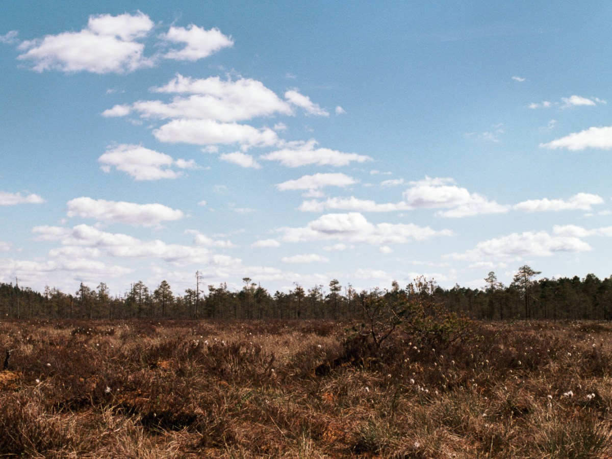 Hiking Around the Lake at Kurjenrahka&nbsp;Swamp