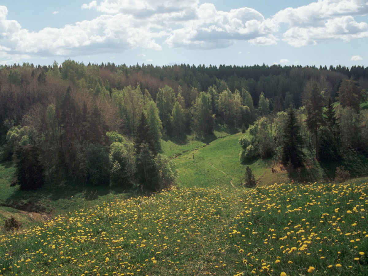 Views of Fields and Countryside on the Dells of&nbsp;Häntälä