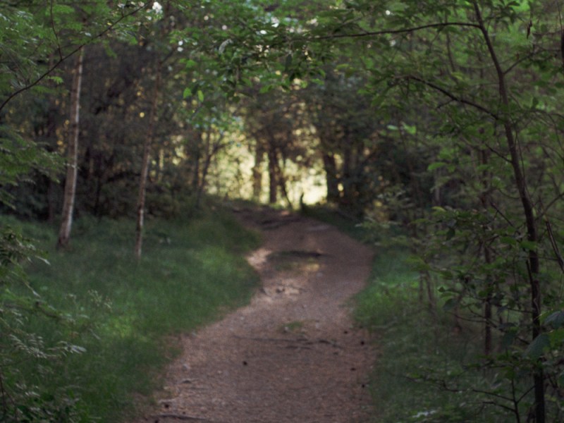 A Walk to the Forests and Fields of&nbsp;Ravattula