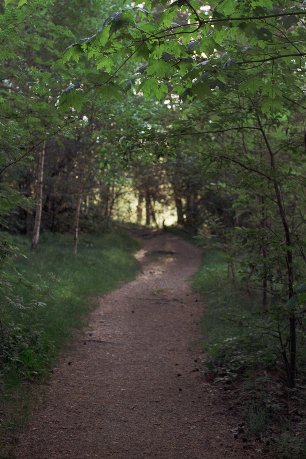 A Walk to the Forests and Fields of&nbsp;Ravattula