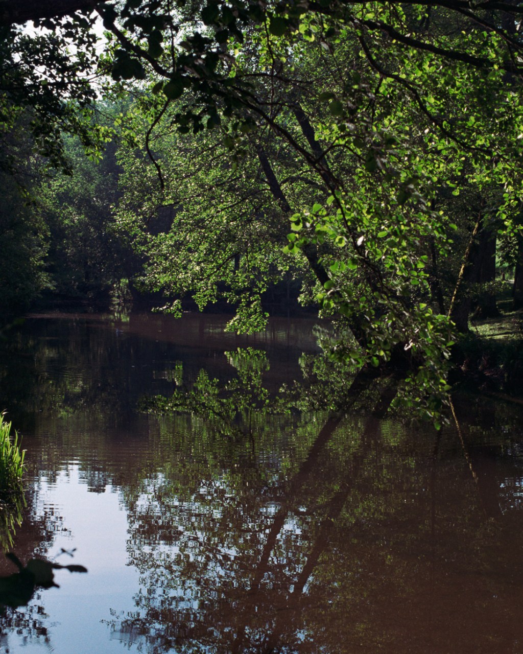 Views of Nature and Countryside in Karjaa