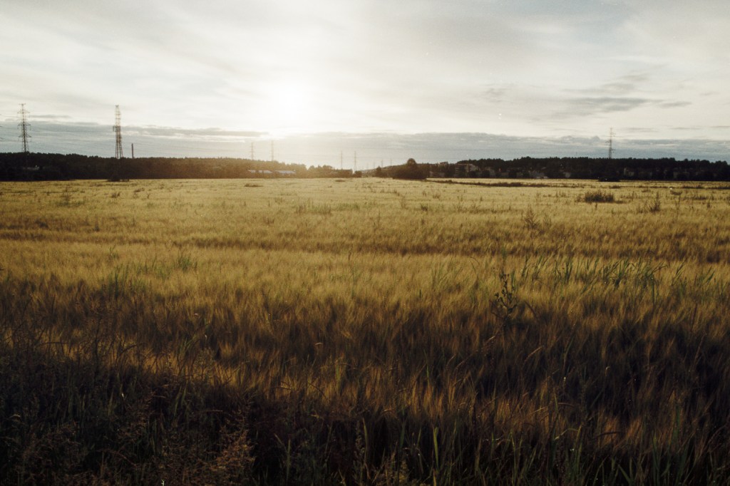 Morning Walk Through the Fields of&nbsp;Koroinen